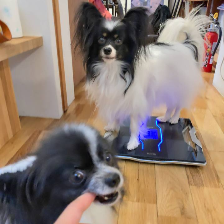 4cda812b c265 4716 89a3 3b07b07cc964 1562537794809