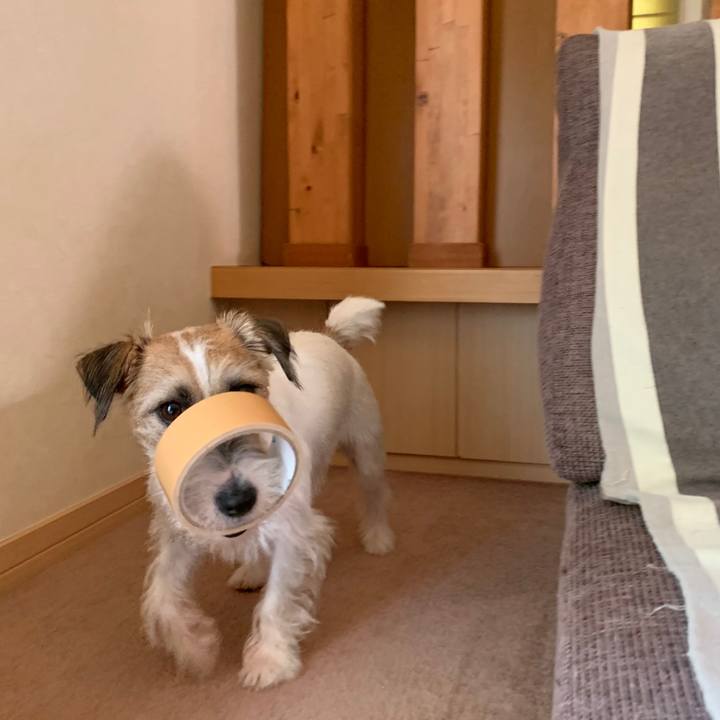 4cda88f3 069a 49f1 bf0d 13963506d798 1596346281086