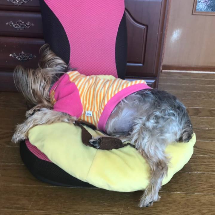 4cda8d84 9d97 4d24 b51e f0519af6daef 1554677479800