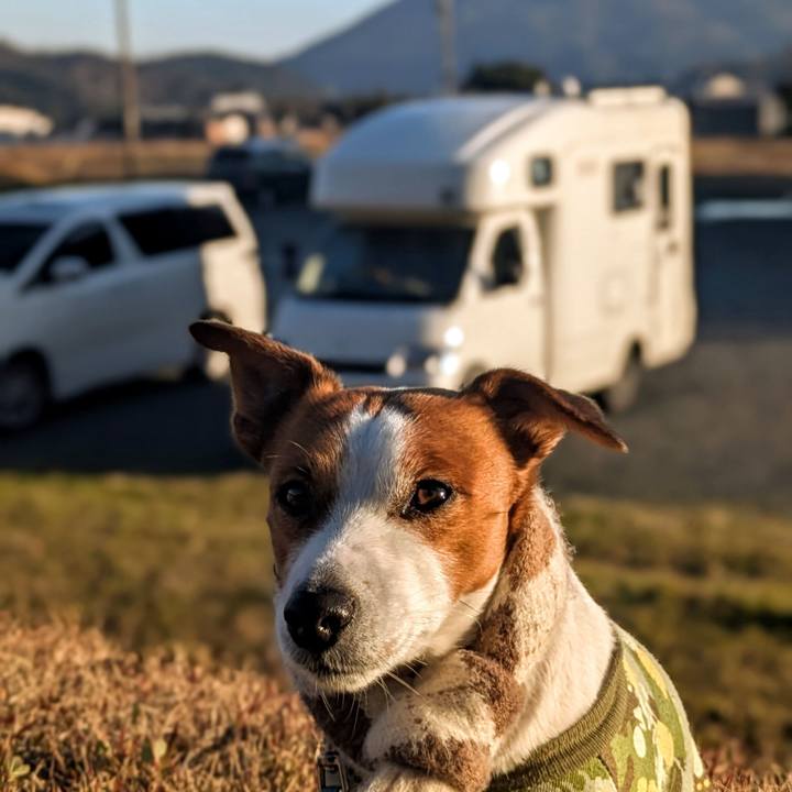 4cdaa4e5 8881 4491 bc48 5a203a68fd0e 1766913949652