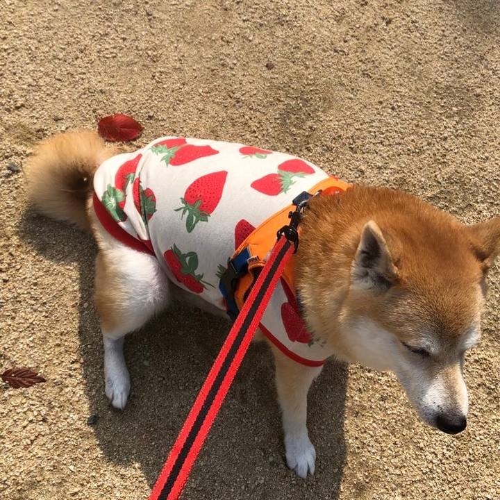 4cdabf68 23d7 487c b73d 83577bbf06de 1572411401757