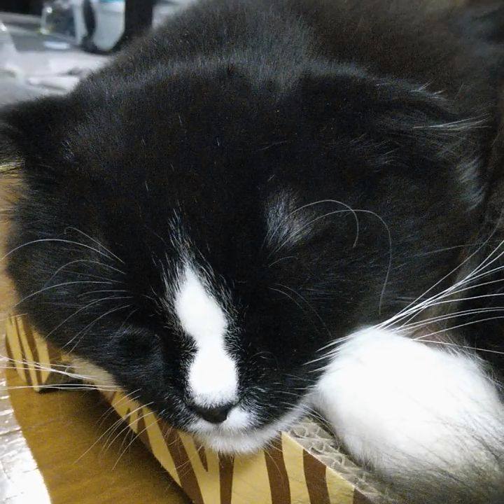 4cdac6da 12e1 4093 b71f aa095fccfd6a 1645790917741