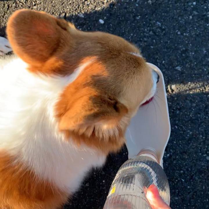 4cdad353 d4b9 45b5 a81c 4b6037642994 1611045324439