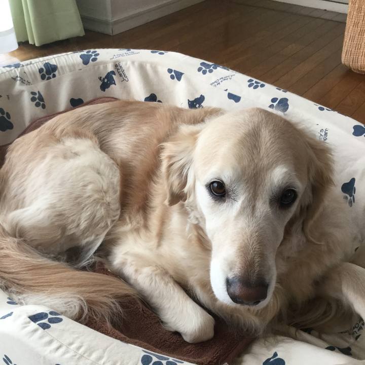 4cdaf240 098b 47a7 b4b7 19236c26ee12 1548028573298