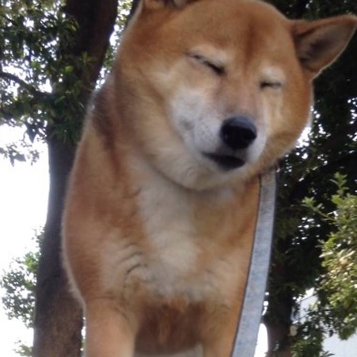 4cdb0da7 5c93 4b5b a4e5 03088c02d7a0 1539834508395