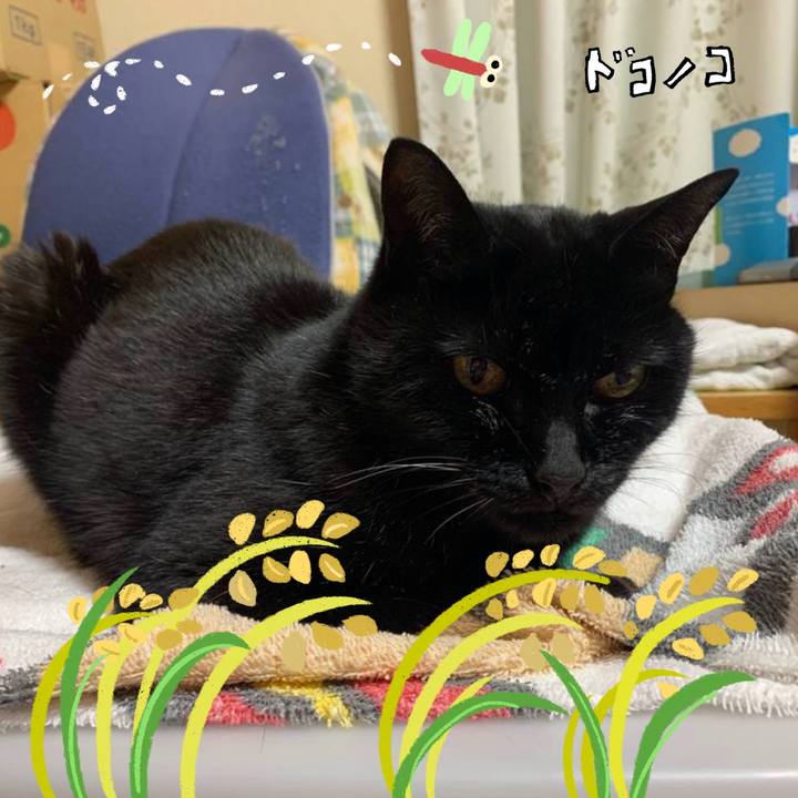 4cdb1fe1 b992 4da9 abc1 abe989a5c34f 1761168127941