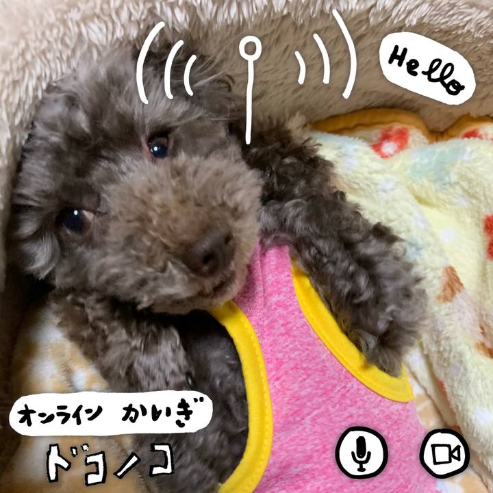 4cdb35c3 e07a 4685 a3d5 4ff47c176784 1590926967477