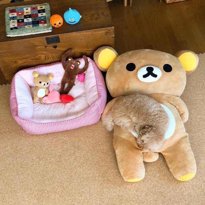 4cdb6367 04a1 46fd 8067 0e2199c56735 1508749941269