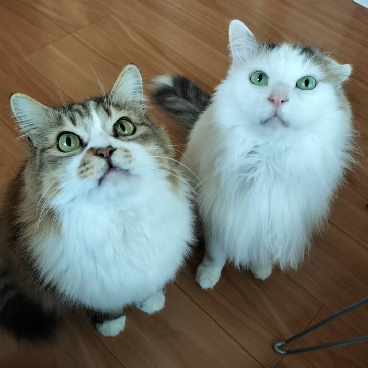 4cdba648 3046 4029 842e 35f7857167fd 1773545063362