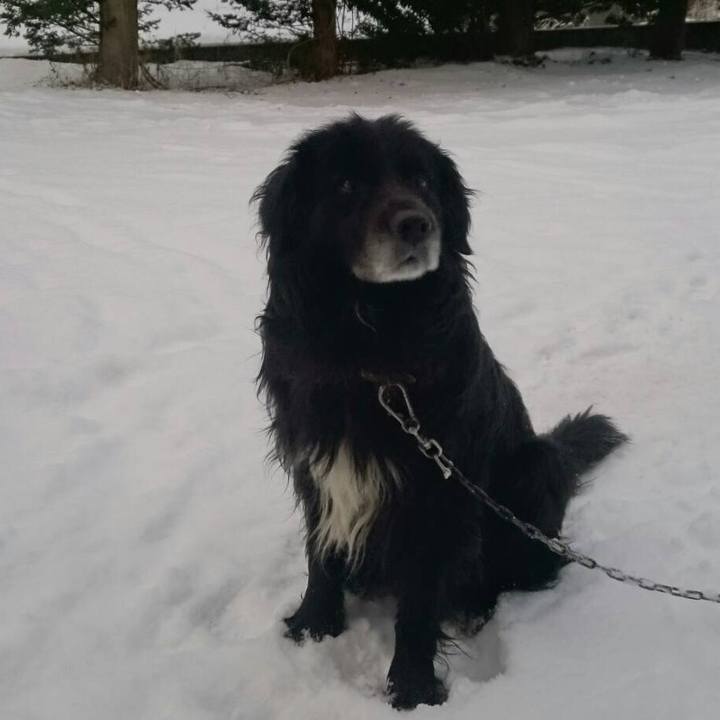 4cdbaaec a305 4179 9630 653e12ff9b04 1513292849822