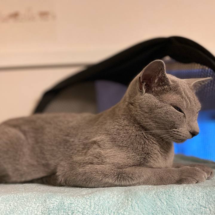 4cdbbf55 38c3 4ba6 aff5 64b58b2eeb66 1655032016093