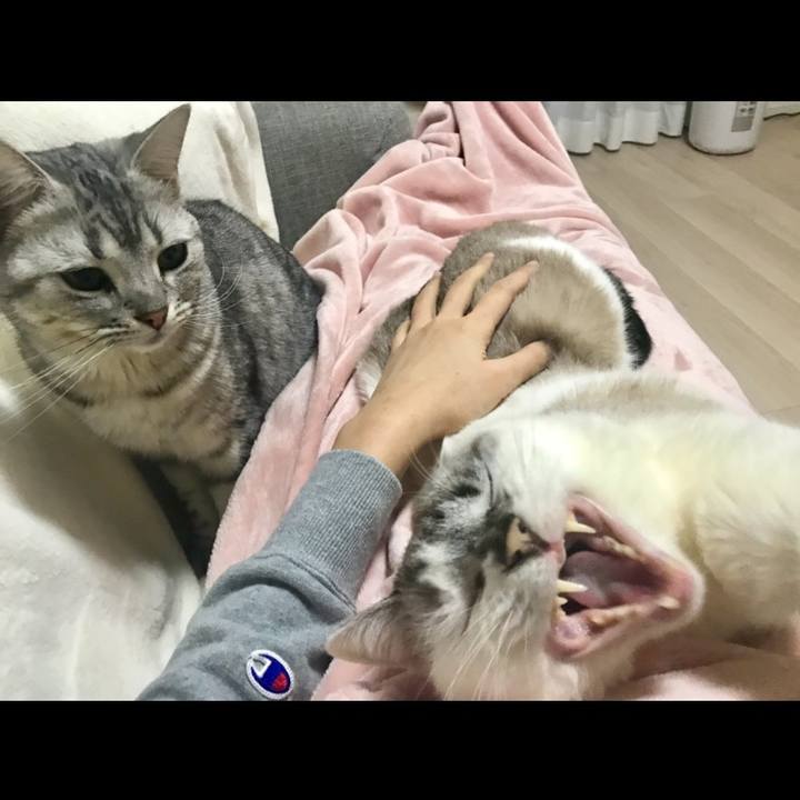 4cdbcebf fb03 493d 9d2e cf7c3895cc82 1550487562853