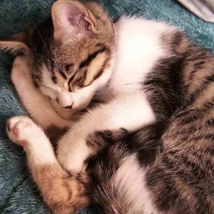 4cdbe3ee 4c5b 48e5 b250 41ffa31cbe35 1614944033037