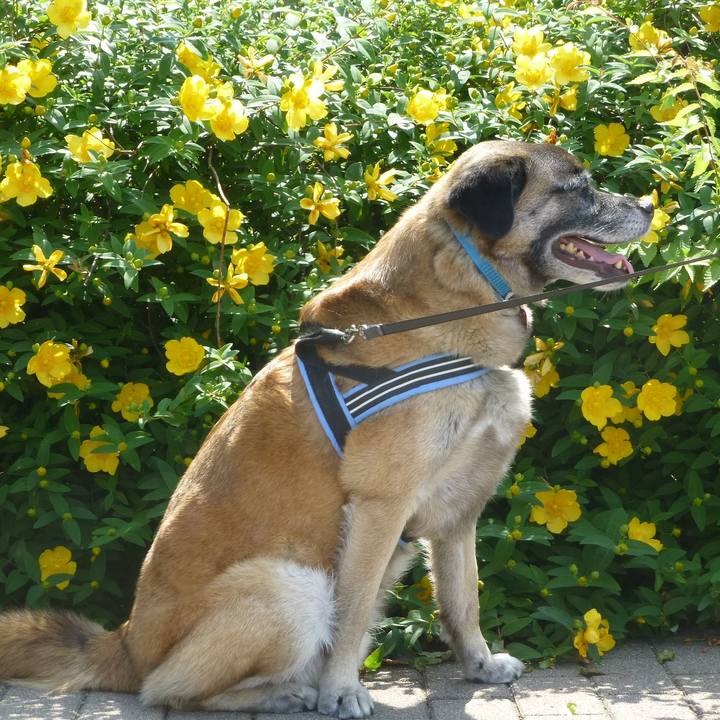 4cdbed22 8716 4b39 83b8 84ff2797b457 1580002006822