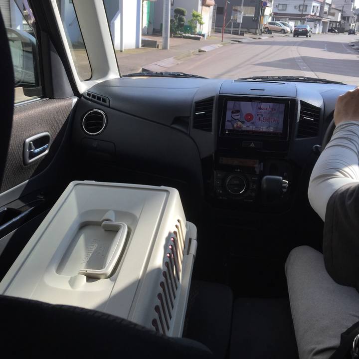 4cdbf8a2 ad3e 43e1 8476 3a72780ebfc4 1589354393907