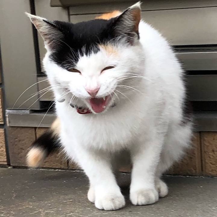 4cdc0de1 39fa 4f32 8f9f bd5d150ab415 1651756602033