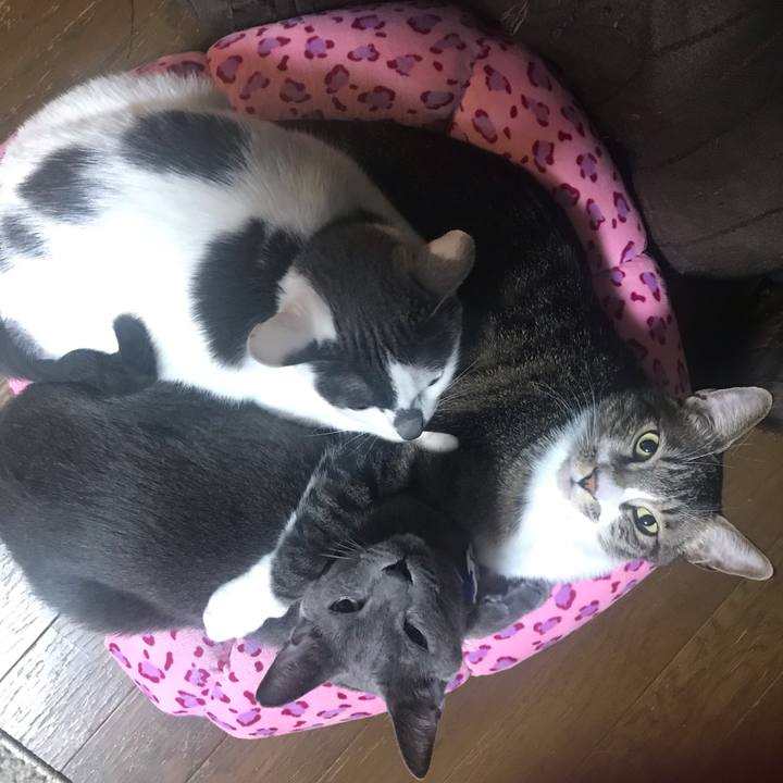 4cdc3004 8584 489e aa6d abbcc9d7db77 1548228175026