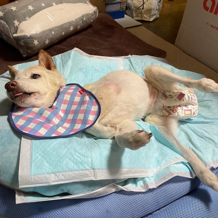 4cdc4424 e367 44bc 9a59 59da6afd77de 1672747331569