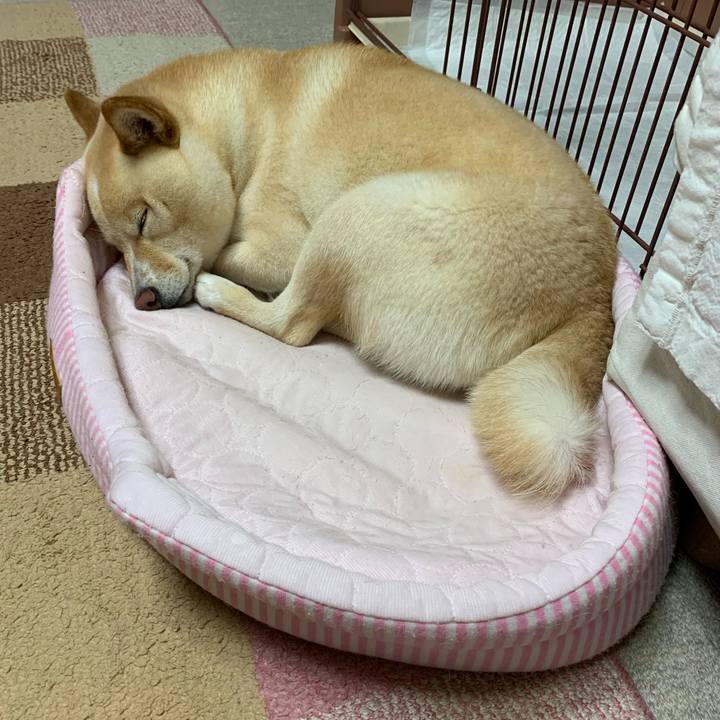 4cdc98ec bba1 4b55 a246 24ca51bbe994 1622118454299