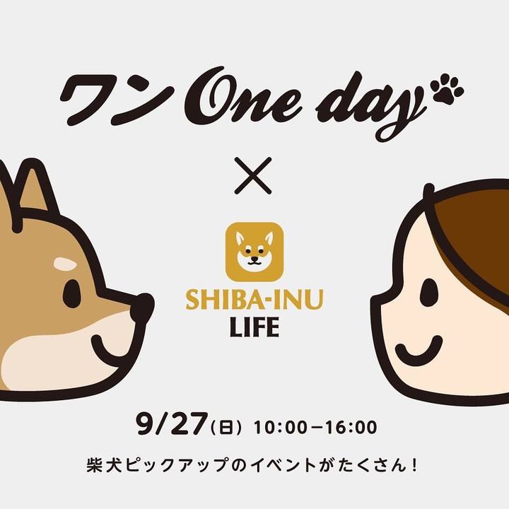 4cdca13d 7997 4c3c 81c2 dc1bd010fe0b 1613360364506