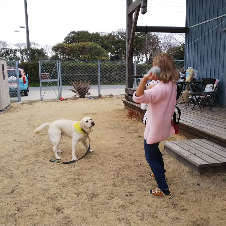 4cdcb690 0663 437b bdf8 a36abbc53ff9 1519557161376