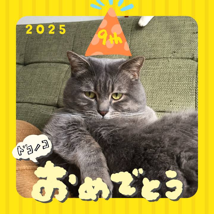 4cdcf62e c42a 4d6b 8815 05b79a3a540d 1749518986506