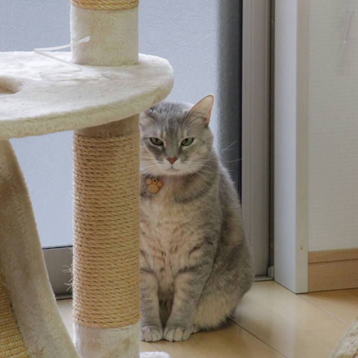 4cdd0f60 00c4 4494 a6f6 5f55240a08ac 1641954419779