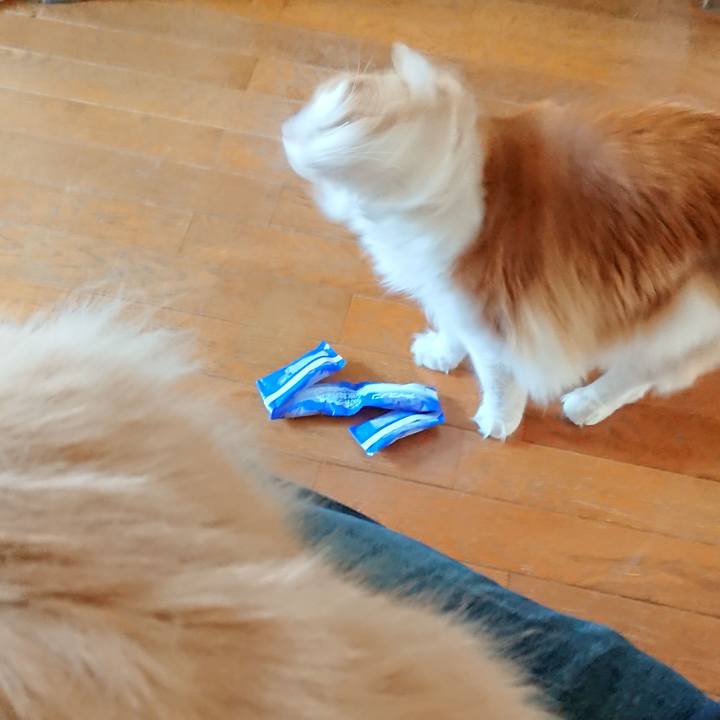 4cdd22cc efa5 4008 995d 2fd35a18041d 1524408585319