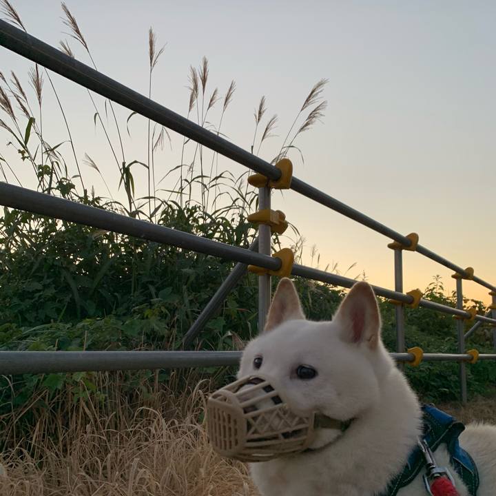 4cdd6b6a 9cea 4cd5 9eac dae650fce80a 1662755648991