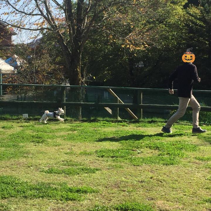 4cdd90c0 ea04 446b b8e8 020beb8aceb8 1509363943559