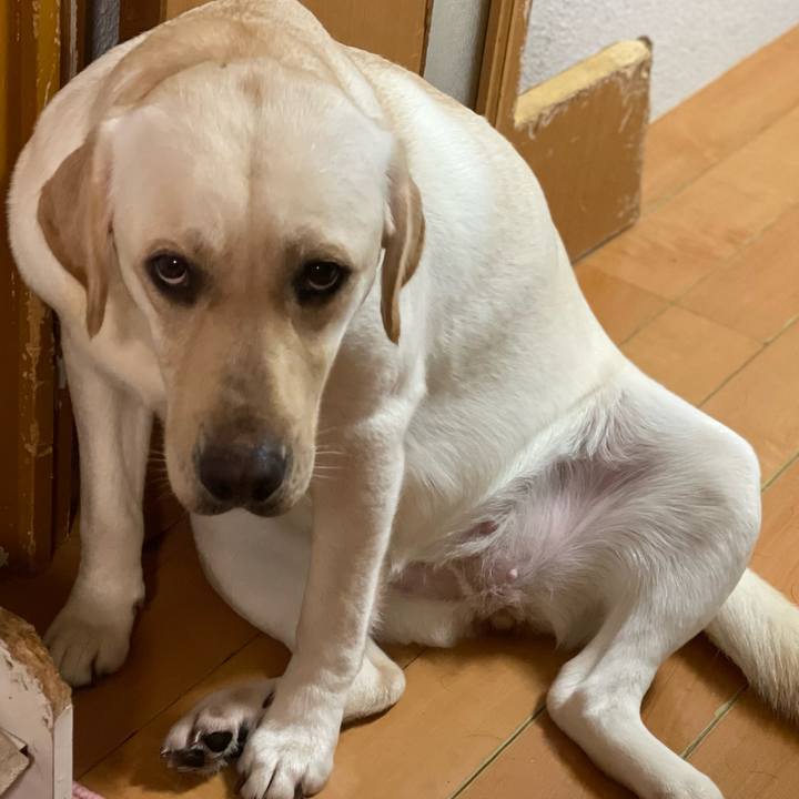 4cdd99fe 6db4 41f6 9f36 a8cdbc4b4933 1663940453856