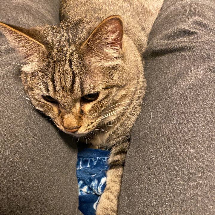 4cddb2e1 b1c9 48fa ae70 b437875b7d8e 1582370237441