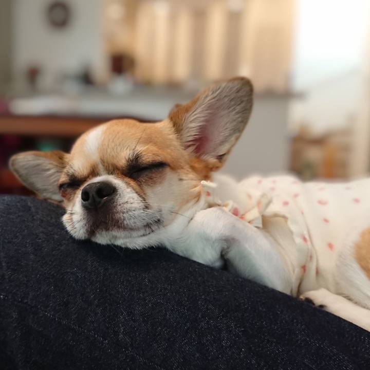 4cdde043 563c 4448 b57a 5ebf8b8208d4 1594249829597