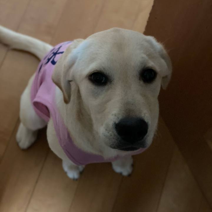 4cde63e9 2a60 4ade 8790 31a8b1fd0cd8 1616417427972