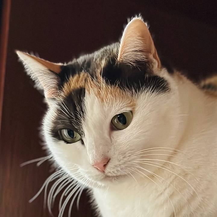 4cde6b05 03f7 461e aed2 8bebbad2ec43 1677892753221