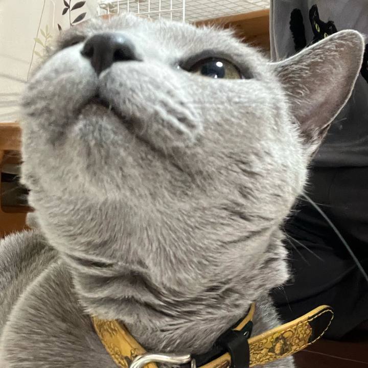 4cde7d4c a773 425f 9b42 5e816aae9a24 1751459171083