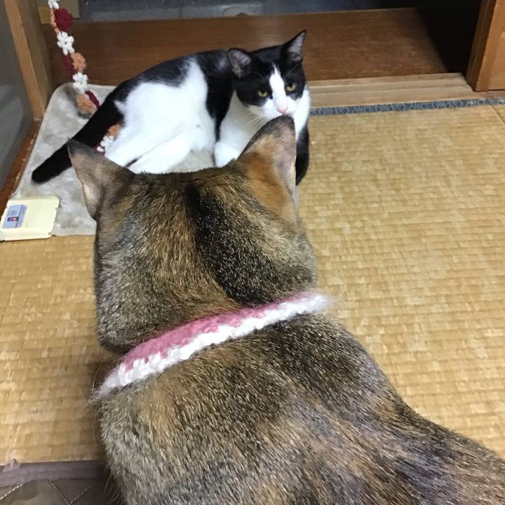 4cde8942 f7c0 4d64 b0f6 5dcd503181c8 1651831454920