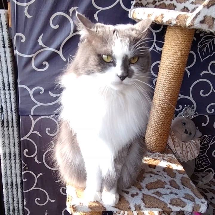 4cdecd22 142d 4755 9926 de792aaf8694 1739081426313