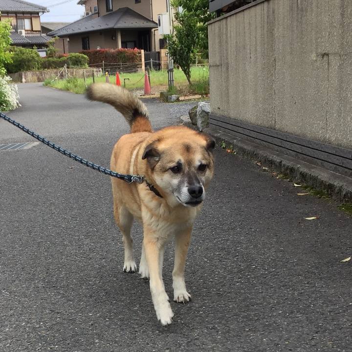 4cdedf80 93fc 4160 b569 e28229dbc84c 1525859489368