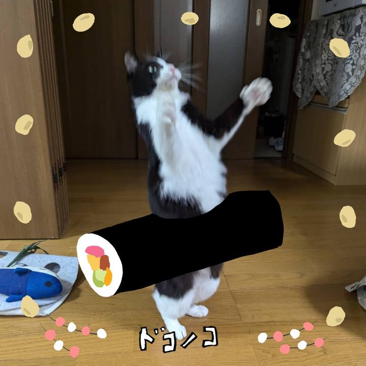 4cdf7484 b8eb 44b1 9b7a 48d829d9e7bb 1741146417850