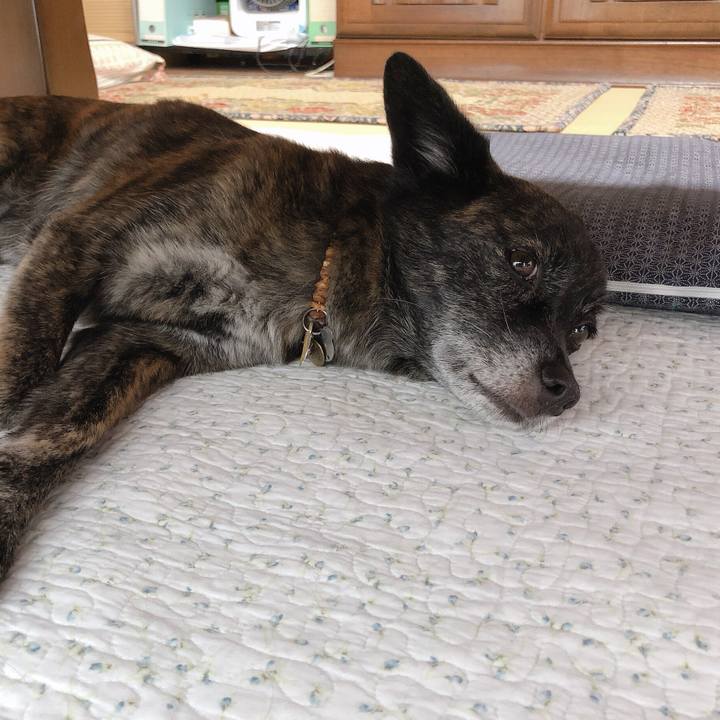 4cdf8d6d 4098 4616 8f48 2f8079904a89 1568346282455