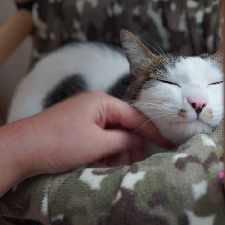 4cdf98ce 22dc 4f42 94bd 7a591beeaeec 1585230459243