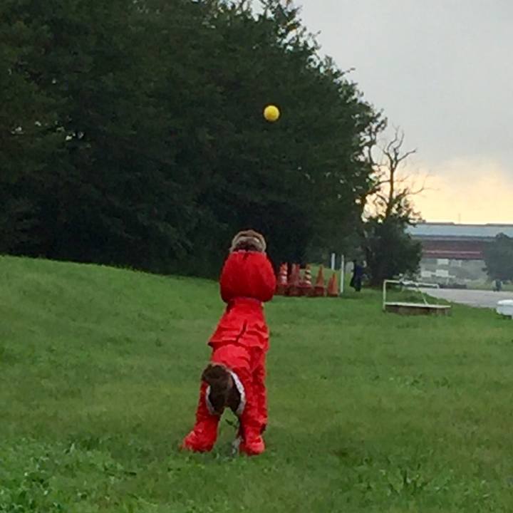 4cdf9c11 a8f6 4d89 8a12 6654e352ce7b 1536051305112