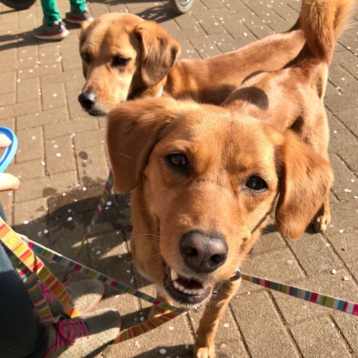 4cdfd64e 0265 44e3 a4c0 9c7c41f077fb 1522492694021