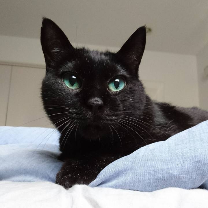 4cdfd8d0 fd88 4cc1 97fb 7c81e01721bf 1566204565890