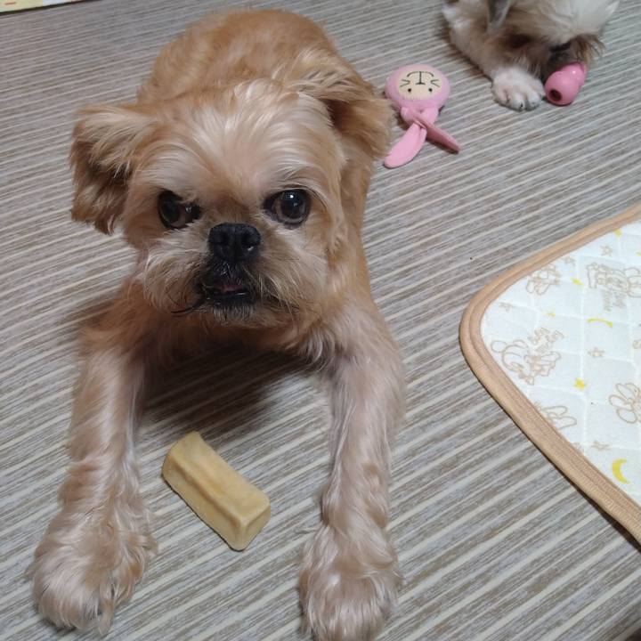 4ce0014d 93fe 4348 9cd2 fd5e058cbfa7 1599391176654