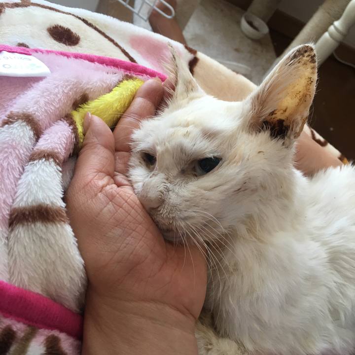 4ce004a2 e895 4bf7 9be6 a187f80fdbdd 1526512251932