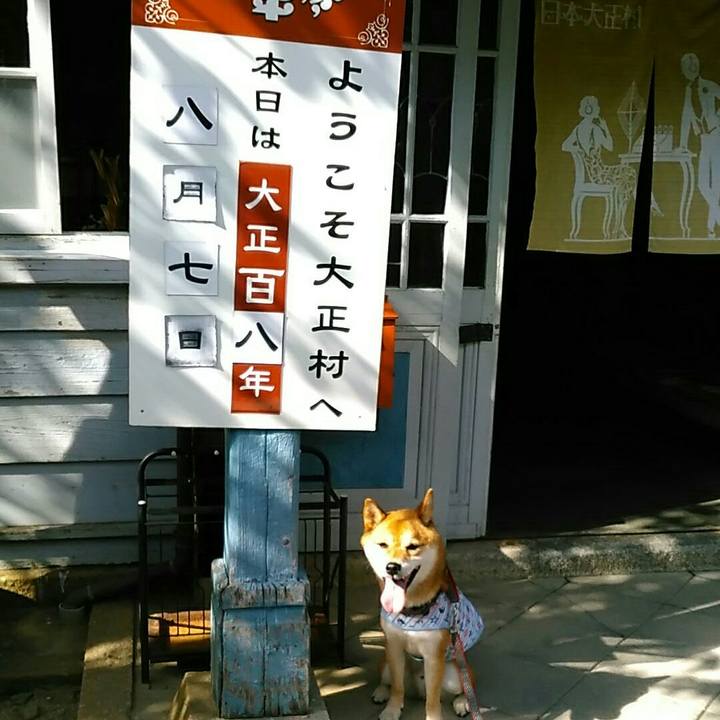 4ce01a08 d447 4967 bf58 de0be47c162b 1565179370548