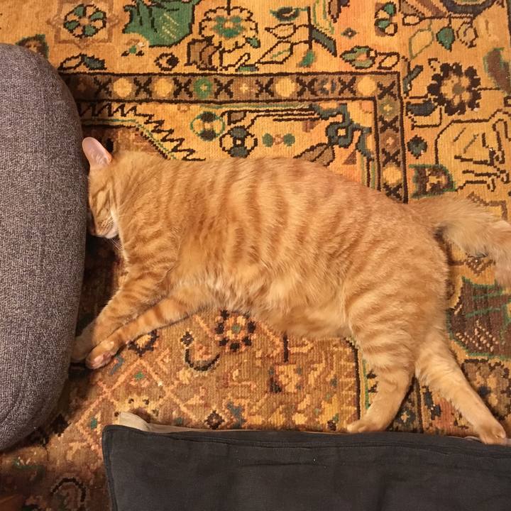 4ce0255f da01 4413 88a2 65275d8a679f 1515369351064