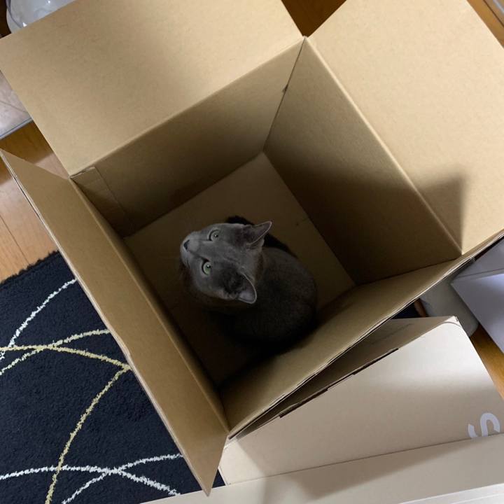 4ce06003 a5c8 4a38 967d b28eabea5afc 1667441904783